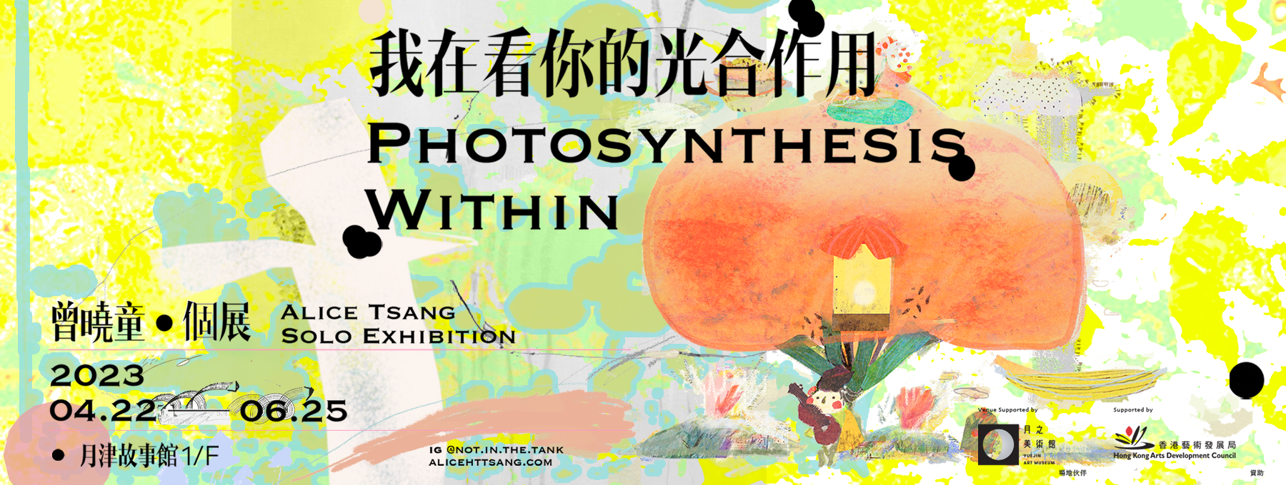我在看你的光合作用 — 曾曉童 個展